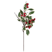 Гілка декоративна 51 см із червоними ягодами Yes! Fun 973908