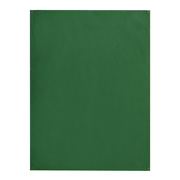 Рушник кухонний з напівпанами Home line зелений