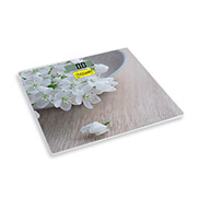 Електронні персональні підлогові ваги Maestro MR1819