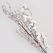 Ветка заснеженная с ягодами YES! Fun 973251