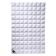 Ковдра літній 100% пуху Billerbeck Nena Superlight