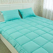 Набір ковдра антиалергенна зимова та подушки Mint Руно