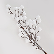 Ветка декоративная с ягодами YES! Fun 973261