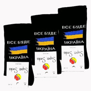 Шкарпетки чоловічі демісезонні бавовняні високі Super Socks S086 009