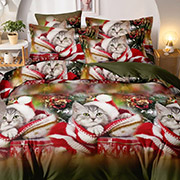 Постільна білизна Новий рік 600807 полікоттон Selena