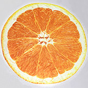 Пляжний рушник 5065 Summer Time Orange MirSon