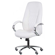Кресло офисное Alize White Special4You E0406