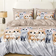 Постільна білизна Котенятко 101459 бязь-люкс Selena