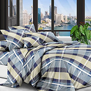 Постільна білизна Клітинка blue 600745 полікоттон Selena