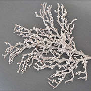 Гілка розлога засніжена з дрібними ягодами YES! Fun 973257