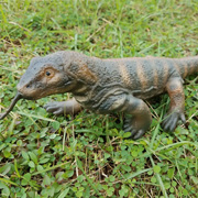 Фігурка Комодський варан 28 см Lanka Novelties 21675