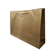 Пакет картонний подарунковий 250х370х90 мм