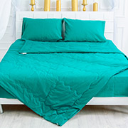 Дитяча літня антиалергенна ковдра EcoSilk 2302 Caterina MirSon