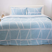 Постільна білизна Aqua Grid ранфорс ТЕП