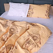 Постільна білизна 17-0786 Sleep catcher бязь MirSon