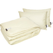 Антиалергенний набір з ковдри і 2 подушок Basic Gold Sonex
