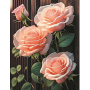 Алмазна мозаїка Kornel GLE74173 50х40 см