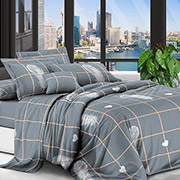 Постельное белье Легкие клетки 600748 поликоттон Selena