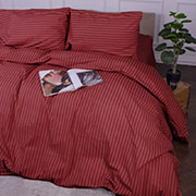 Підковдра 17-0608 Stripe Red ranforce-elite MirSon 