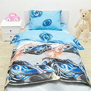 Підліткова постільна білизна 25383 ранфорс Вілюта