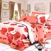 Постільна білизна Яблучний мікс 200445 ранфорс Selena