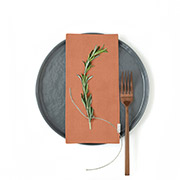 Набір із 2 серветок Amber Cosas