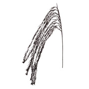 Ветка декоративная 114 см Black Waterfall YES! Fun 974319 черная