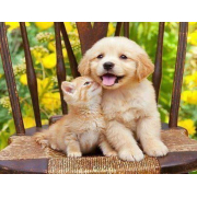 Алмазна мозаїка Kornel GLE74128 50х40 см