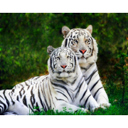 Алмазна мозаїка Kornel GLE75390 50х40 см