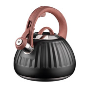 Чайник нержавіюча сталь 2,5 л Gimini Ardesto AR1958KS чорний