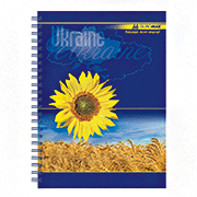 шкільні зошити