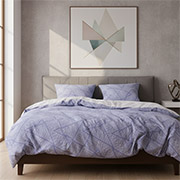 Постільна білизна 25413 ранфорс Isleep