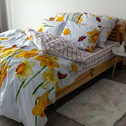 Постельное белье 716 Нарцисс Soft Dreams бязь ТЕП