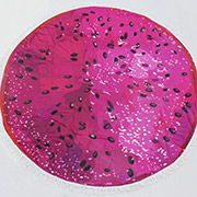 Пляжний рушник 5079 Summer Time Dragon fruit MirSon