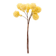 Кульки декоративні 2 см 9 шт. в пучку Мімоза Yes! Fun 974164 жовті