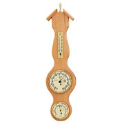 Метеостанція 203057 Beech Moller DAS301240