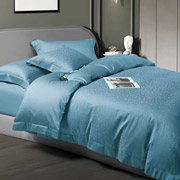 Комплект постільної білизни сатин-жаккард Євро Boutique Dew Teal Soho