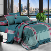 Постільна білизна Шотландка бірюза полікоттон Selena 600281