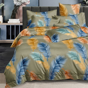Постільна білизна Різнокольорові пір'їнки сатин Selena 300726