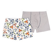 Набір із 2 трусів для хлопчика НБ17 супрем Бембі X01-сірий-принт
