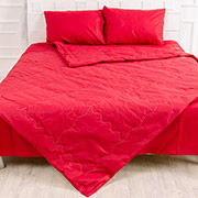 Ковдра літня антиалергенна EcoSilk 2301 Edmonda MirSon