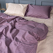 Постільна білизна Waleis 30-0008+30-0004 сатин-страйп MirSon