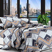 Постільна білизна 600628 Абстракція Лінії полікоттон Selena