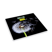 Електронні персональні підлогові ваги Maestro MR1828