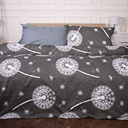 Постільна білизна 17-4836 Diego ranforce-elite MirSon