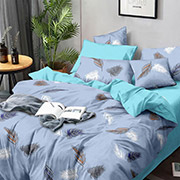 Постельное белье Клера 101164 бязь-люкс Selena