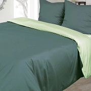 Комплект постільної білизни сатин Ярослав s019 хвоя