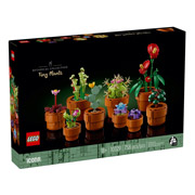 Конструктор Маленькі квіти Icons Botanicals Lego 10329