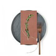 Набір із 2 серветок Copper Cosas