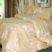 Комплект постільної білизни Ярослав ранфорс R-125